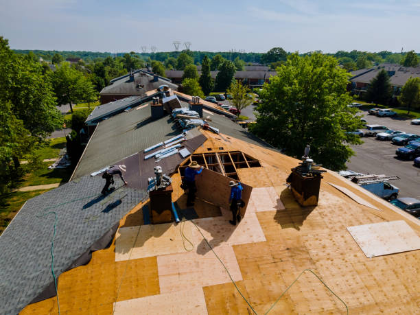 Roof Installation Near Me in Jasmine Estates, FL