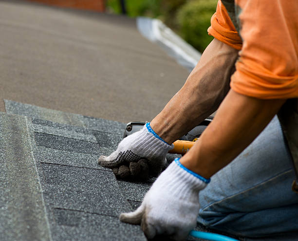 Best New Roof Installation  in Jasmine Estates, FL
