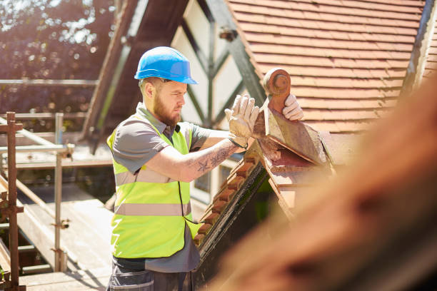 Professional Roofing Contractor in Jasmine Estates, FL