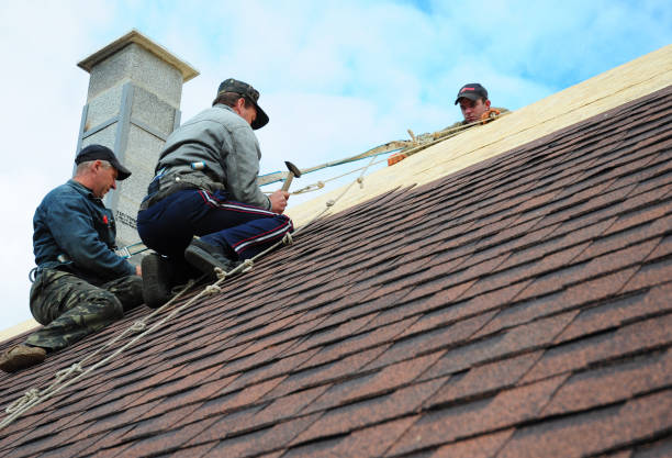 Best Roofing Contractors for Homes  in Jasmine Estates, FL