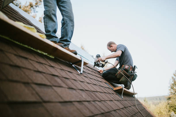 Quick and Trustworthy Emergency Roof Repair Services in Jasmine Estates, FL